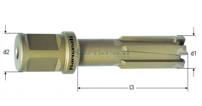 Корончатые свёрла RAIL-LINE, 55 мм, хвостовик Weldon 19
